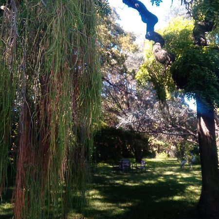Cabana En Quinta La Aurora Mina Clavero Ngoại thất bức ảnh