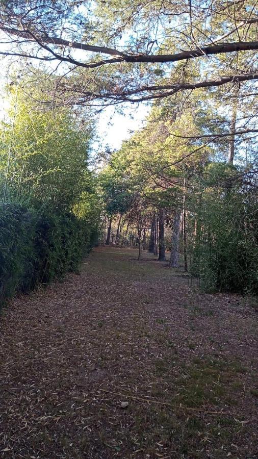 Cabana En Quinta La Aurora Mina Clavero Ngoại thất bức ảnh