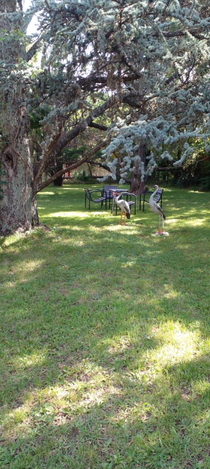 Cabana En Quinta La Aurora Mina Clavero Ngoại thất bức ảnh