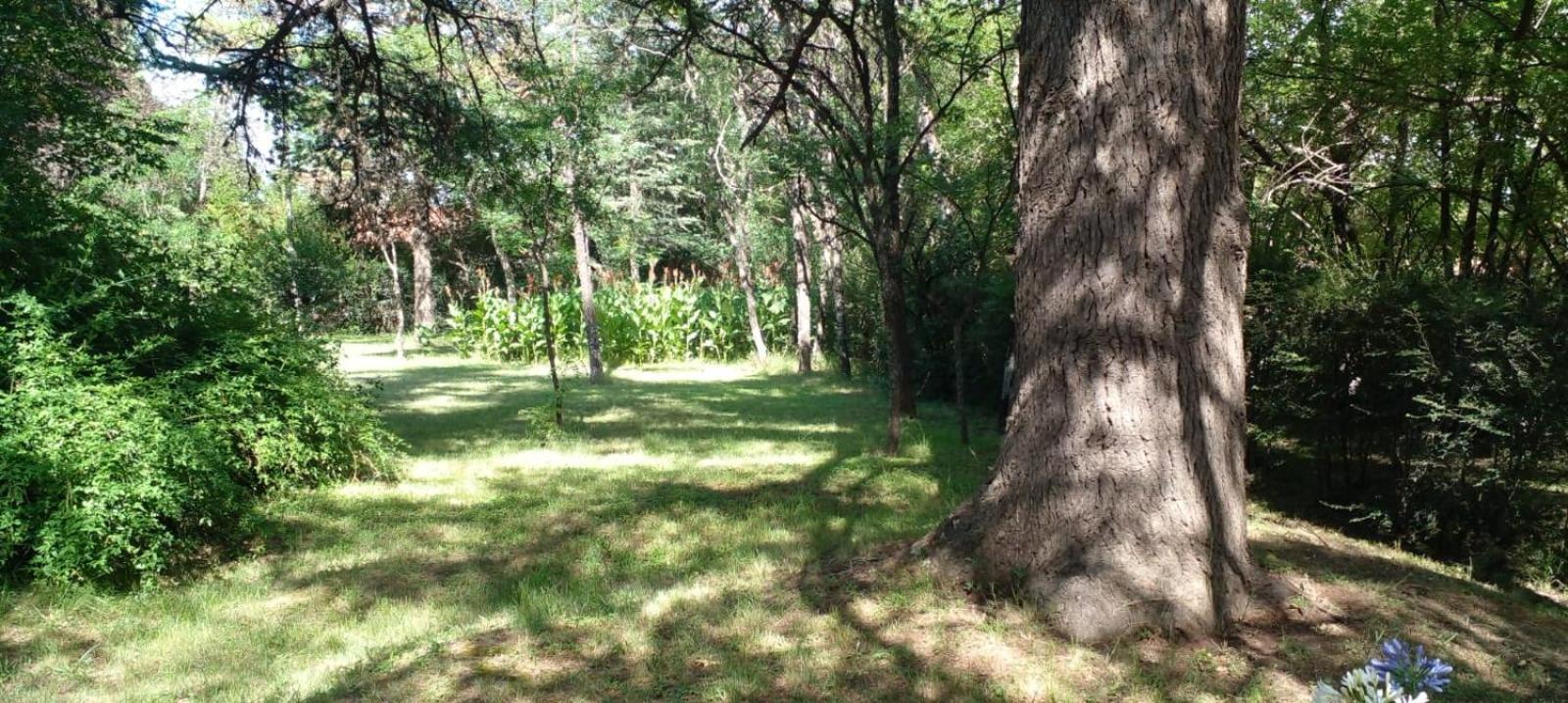 Cabana En Quinta La Aurora Mina Clavero Ngoại thất bức ảnh